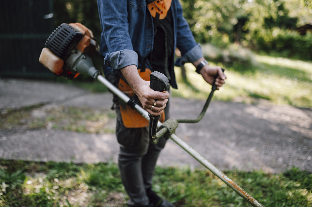 Professional landscaping service homepage hero showcasing quality outdoor work